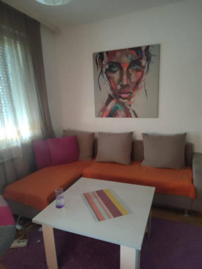Cozy apartment in the Center of Skopje, Skopje